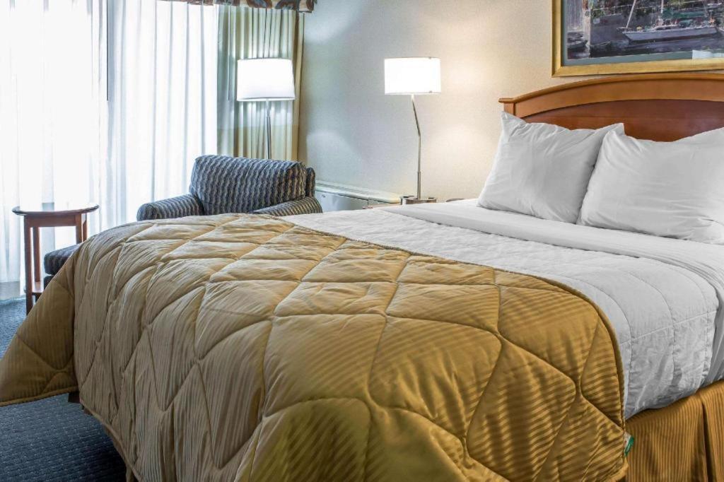 Lifestyle Inn סידר פולס מראה חיצוני תמונה