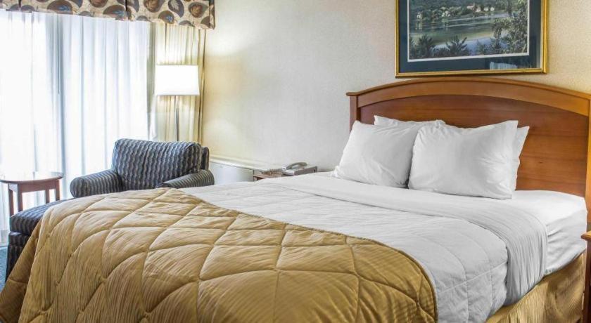 Lifestyle Inn סידר פולס מראה חיצוני תמונה