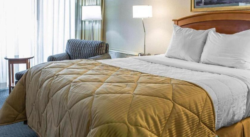 Lifestyle Inn סידר פולס מראה חיצוני תמונה